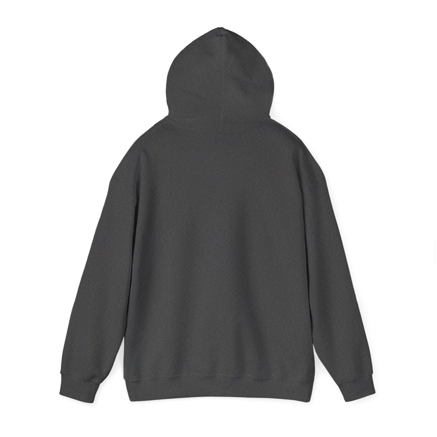 Hoodie — "I Survived the Government Shutdown 2025" Minimalist Protest Pullover