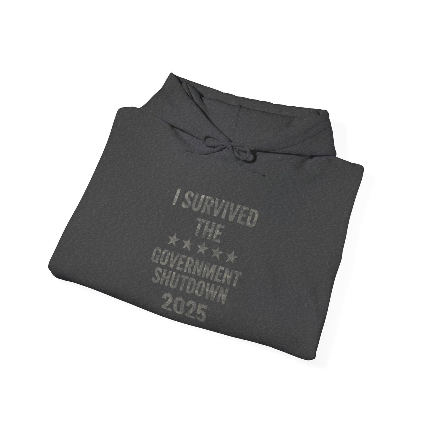 Hoodie — "I Survived the Government Shutdown 2025" Minimalist Protest Pullover